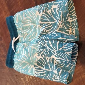 Lands' End swim trunks
